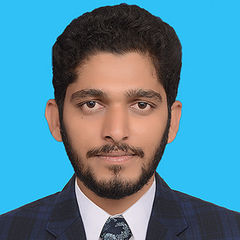 Hamza Arshad, Web Developer