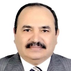 ashraf  Mowafy, SALES MANAGER