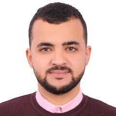 Mohamed Ahmed, Web Developer PHP Developer