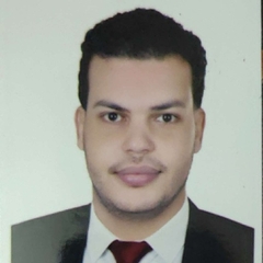 kamal ahmed arafa, computer engineer