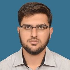 شيراز أحمد, Freelance Website Developer