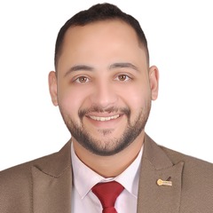 Mohamed Ali Mohamed  Shalaby 