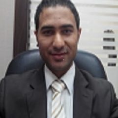 Sherif Abuelhamad Aly, Chief Accountant - Assistant of Finance Manager