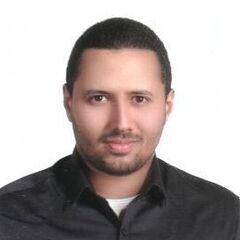 Hassan Mohamed Naguib Elsherbini