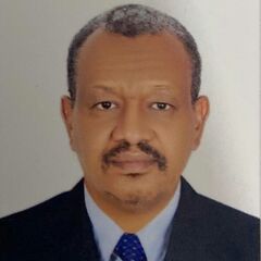 أحمد محمد, consultant 