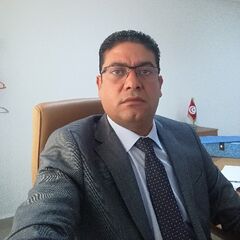 الأسعد بن الحاج سالم, Internal Auditing Supervisor
