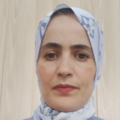 BAKHTA GUENOUN, Civil Engineer