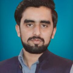 Hamza Arif