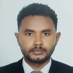 Abd elaziz Ibrahim Mohamed Ahmed  Osman