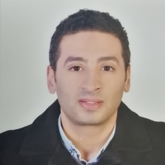 Emad Ashour, Accountant