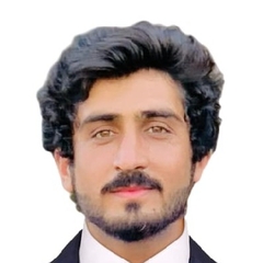 Hussain  Alam