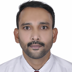 Praveen Raman, Executive Engineer