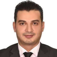 alaa shannan, key account manager