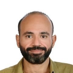 Ahmed Mohamed Elsayed  Mohamed , مدير مالي