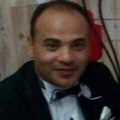 محمد عبد المنعم, Director of stock control