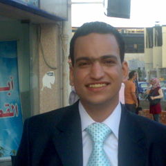 ayman mohamed, مراقب ايرادات