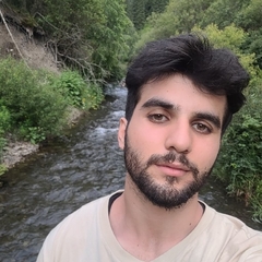 Hamza Alhalawani