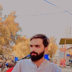 Muhammad Sajjad  Sarwar 