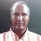 Gebremedhin Abraha, Project Manager