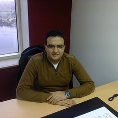Mustafa EL-Saeed, Tax Officer