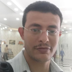 لطفي عادل صالح اليافعي, SENIOR ASP.Net MVC DEVELOPER