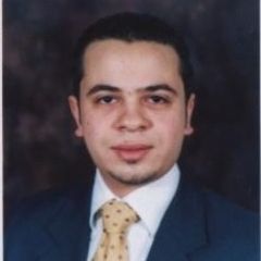 Mahmoud Awad, Team Leader