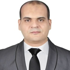Ahmed Adel Seddik, Facade Estimation Manager