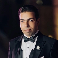 Ahmed Omar Abdelhamid El-Shawy, Financial Executive