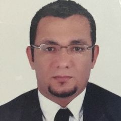 Mohamed Hamed Ismail