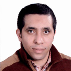 أحمد سعيد صقر, Senior Software Engineer ( Granite , Data Warehouse , ETL , ODI )