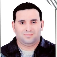 عصام محمود أحمد السيد ربيع, رئيس للحسابات