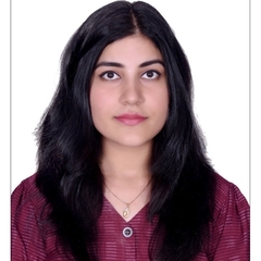 Chandni سابناني, Accountant
