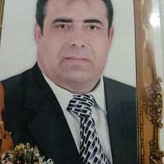       Magdy Aly ahmed Ali, Trade Sales Manager