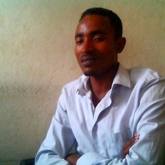 Temesgen Yaekob ERGANO, data colection and dessimination core work process ,leader and lecture
