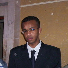 Mohamed El Sayed Payram Hussein محمد حسن, عامل أنتاج