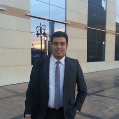 Tamer Agha, Senior Business Analyst