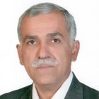 Massoud Mirzazadeh, Owner/Manager