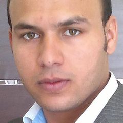AHMED ELMAHDI, Sales Manager