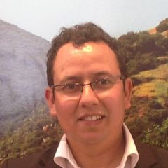 عزيز Mohaoui, site manager