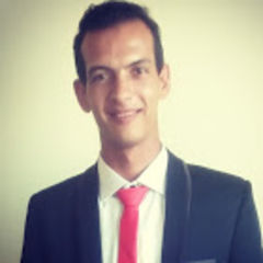 Mohamed Abdel-Wahab, site engineer