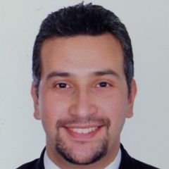 Mohamed Medhat Ahmed Abd El Fattach, Business Expert