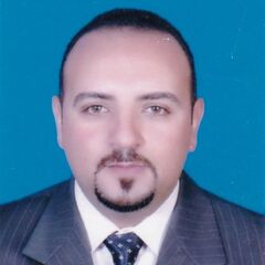Demian Karam Gaied  Soliman, Lead HSE Engineer