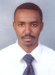 Mohamed Ahmed Abdoaldim Mohamed Taha, IT Manager
