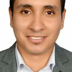حسين هشام, Financial Consultant
