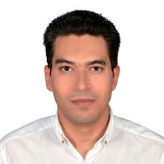 وائل شوقي بيومي محمد, Project Manager - Expansion of Al-Adan Hospital Project