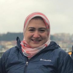 داليا عبد المجيد, Project Manager engineer