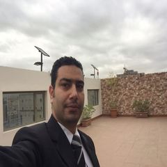 Alaa Eldin Abdel Rahim Abdel Maksoud, chief accountant