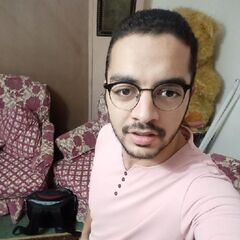 AHMED AYMAN, LECTURER