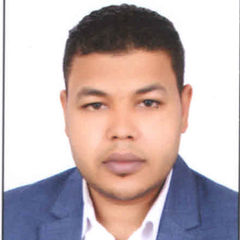 Hassan Mohamed Hassan Ahmed Murad, Internal Auditor