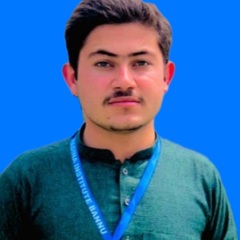 Zulfaqar khan